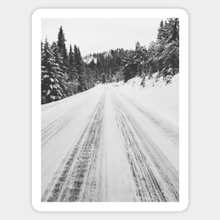 White Winter in Scandinavia - Mountain Road Through Fir Tree Forest Sticker